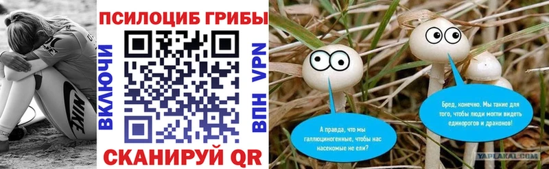 Псилоцибиновые грибы Psilocybe Малгобек